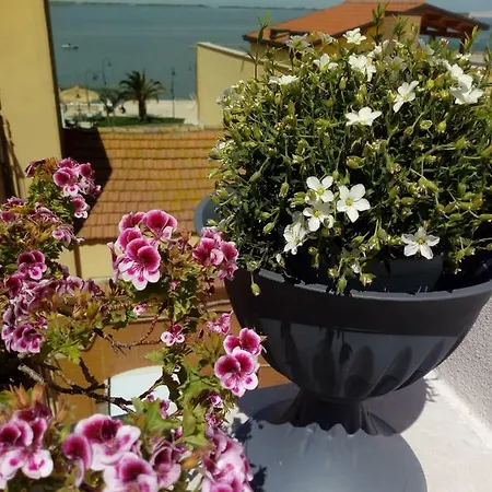 Bed and Breakfast La Felicita