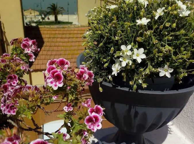 Bed & Breakfast La Felicita